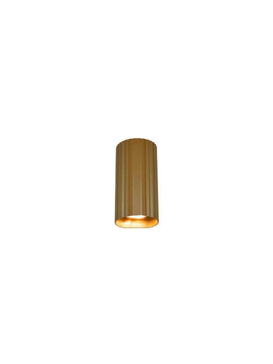Trio Lighting Soka Σποτ σε Καφέ Χρώμα