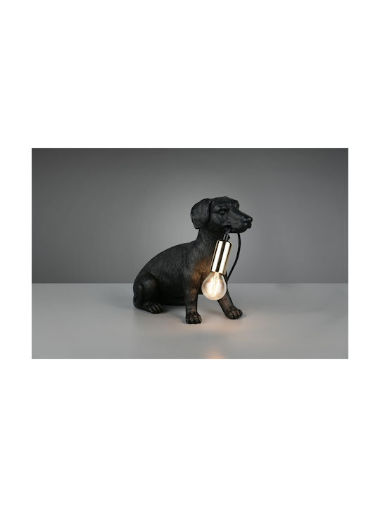 Trio Lighting Decorative Lighting Fixture E14 13x28x23.5cm