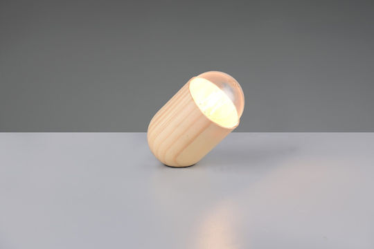 Trio Lighting Διακοσμητικό Φωτιστικό