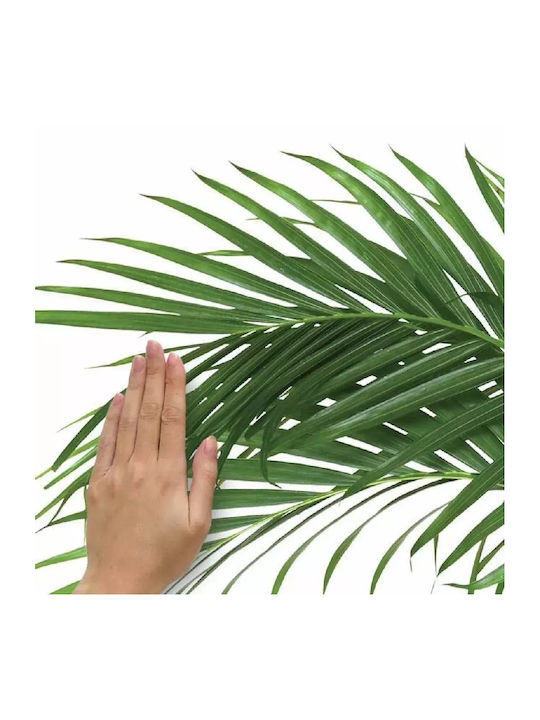 Dekorativer Aufkleber Wand Green Palm 2Stück RoomMates Decor