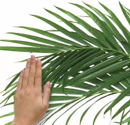 Dekorativer Aufkleber Wand Green Palm 2Stück RoomMates Decor