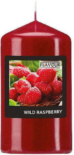 Gala Αρωματικό Κορμός RASPBERRY