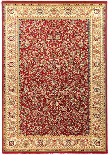 Royal Carpet 11OLY8595 Royal Carpet 11OLY8595