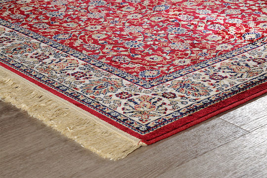 Newplan 240/301220 Rug Rectangular with Fringes Sonia