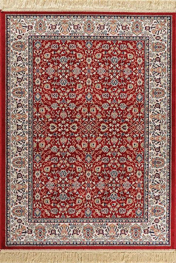 Newplan 240/301220 Rug Rectangular with Fringes Sonia
