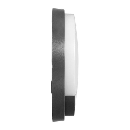 Redled Επιτοίχια Εξωτερική Πλαφονιέρα LED IP54 15W με Φυσικό Λευκό Φως