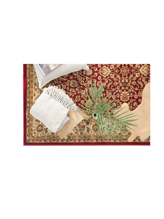 Royal Carpet 4262C Teppich Rechteckig Synthetisch,Polyester/Cotton/Leather Red
