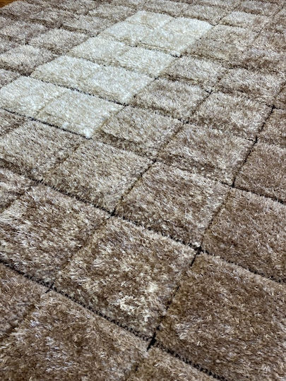 Koulis Carpets California P610