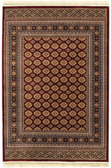Newplan Persia 7838