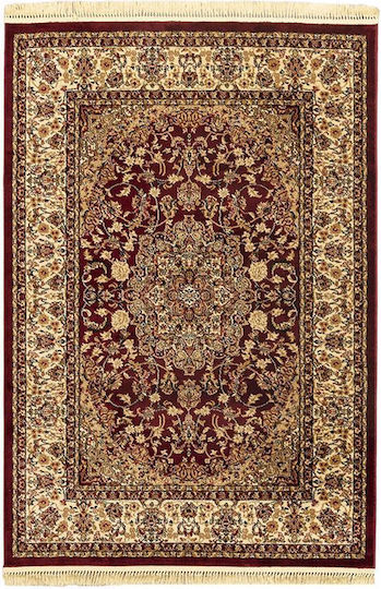 Newplan Persia 5649 Newplan Persia 5649