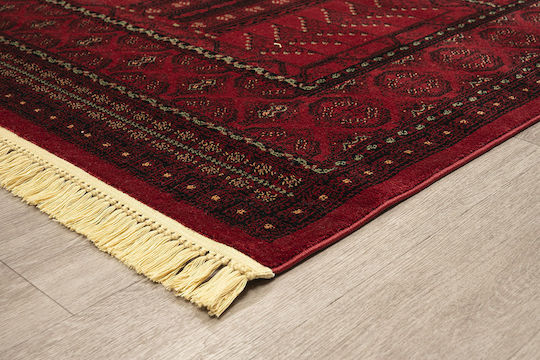 Newplan Persia 2288 Newplan Persia 2288