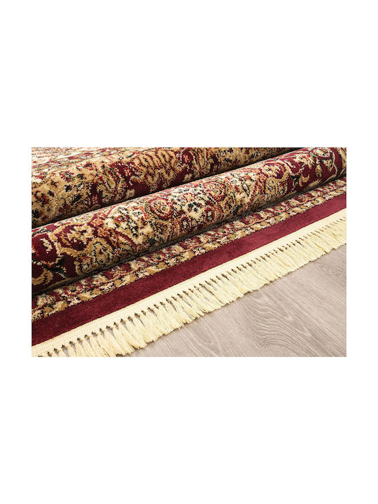 Newplan Persia 5649 Rug Rectangular with Fringes Burgundy
