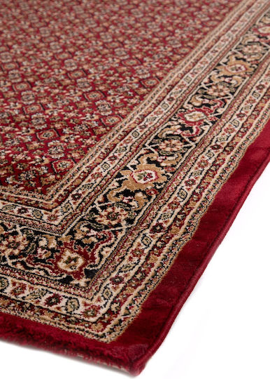Royal Carpet Teheran 3924 240x300cm Red