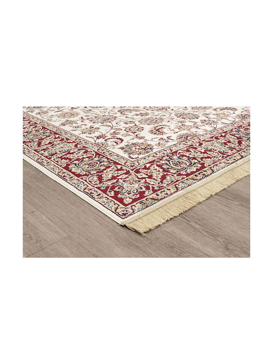 Newplan Sonia 553/301440