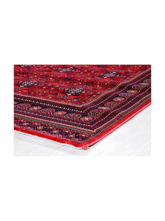 Tzikas Carpets 39772-010 240x300cm Κόκκινο