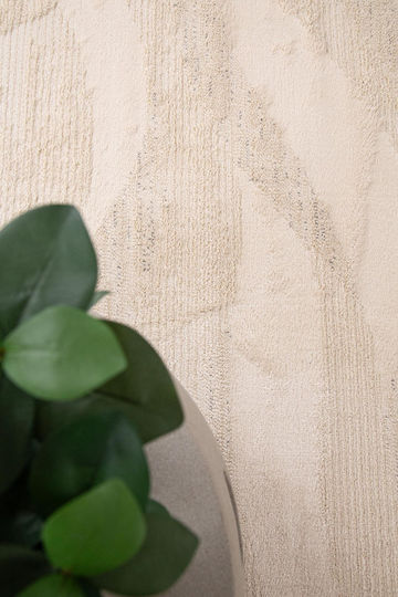 Royal Carpet Matisse 29563 A Rug Rectangular Beige