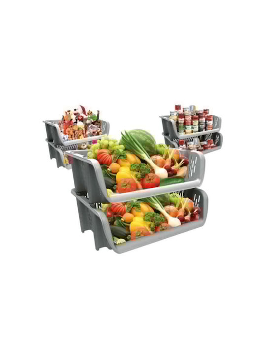 Veranstalter Gray 8695737100530