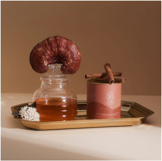 Lune Tea Ceai 45gr 1buc