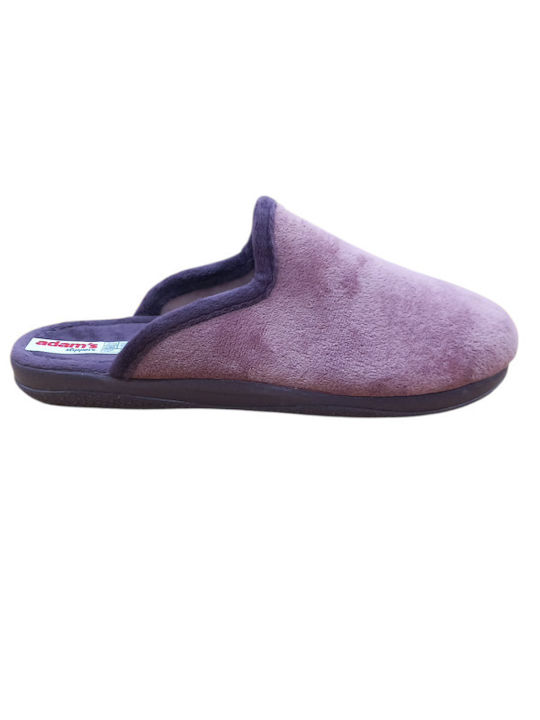Adam's Shoes