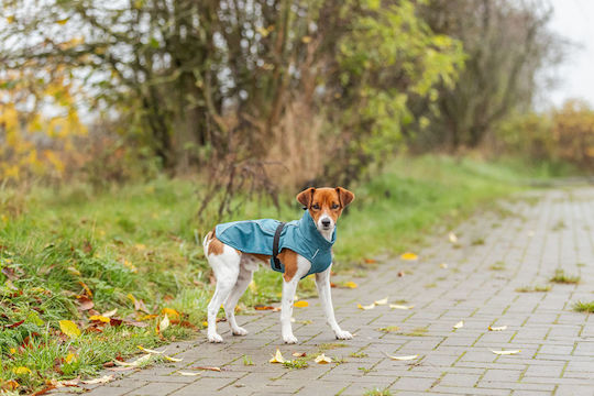 Trixie Vimy Petrol Blue Waterproof Dog Coat XXLarge with 80cm Back Length