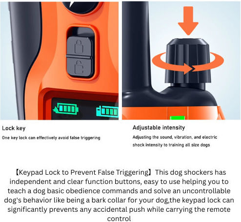 Dog Training Shock Collar with Range 1000m