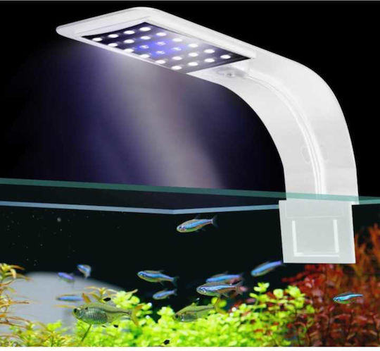 Tpster Accessories for Aquarium Lighting with White Light 12W