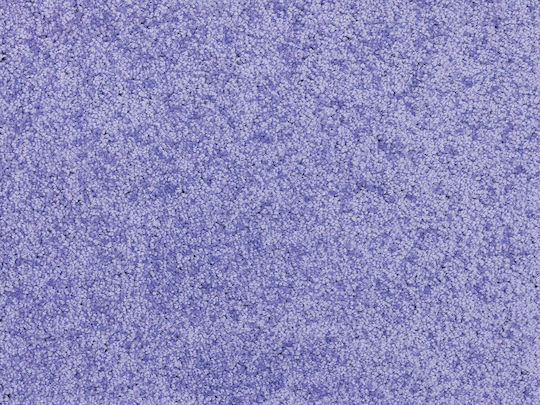 Nikotex Carpets Αντιολισθητικό Παιδικό Χαλί Hamilton Βιολέ 133x190