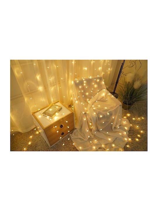 Modee Lighting Christmas Lights LED Type Berry Power Supply 100 LED 10m 10cm Warm White