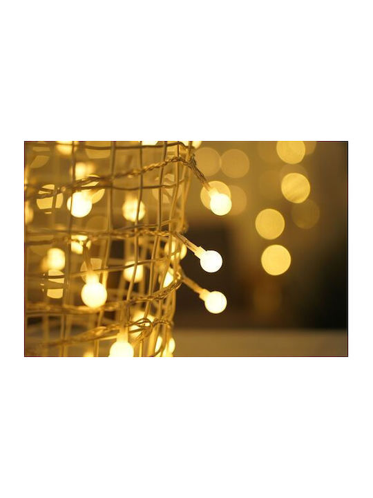 Modee Lighting Christmas Lights LED Type Berry Power Supply 100 LED 10m 10cm Warm White