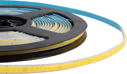 GloboStar LED Strip Bee 24V Cold White Light 5m Type COB