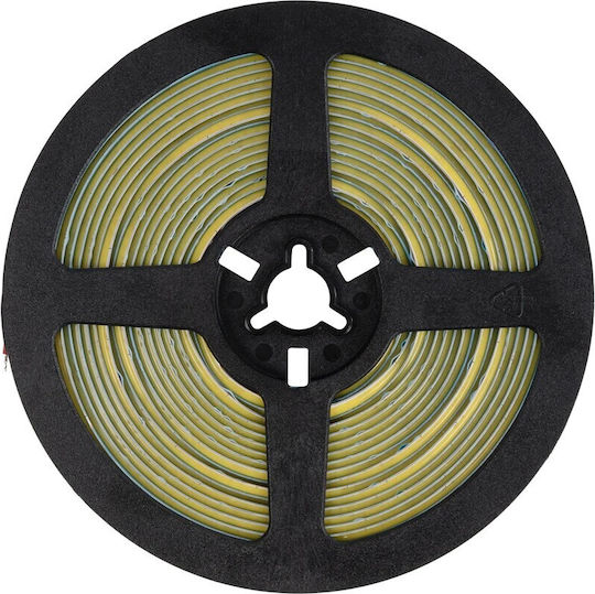 GloboStar LED Strip Bee 24V Cold White Light 5m Type COB