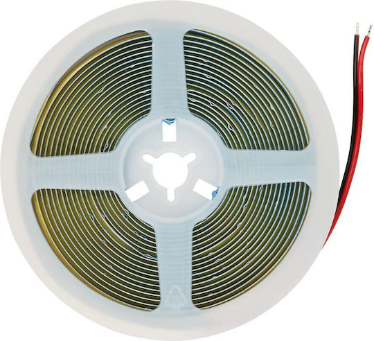 GloboStar LED Strip Bee 24V Natural White Light 5m Type COB