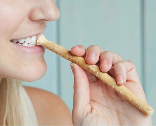 Unicorn Miswak Dental Care Wood Οδοντόβουρτσα Καφέ