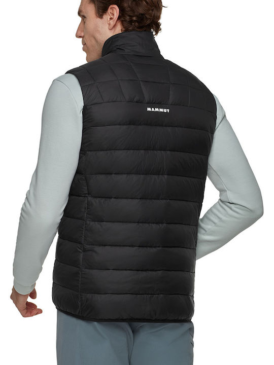 Mammut Mammut