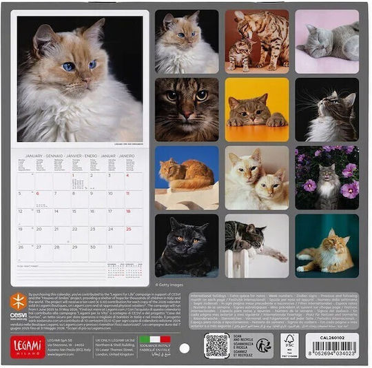 Wall Calendar 2026 Legami 18x18cm Cats Cal260102