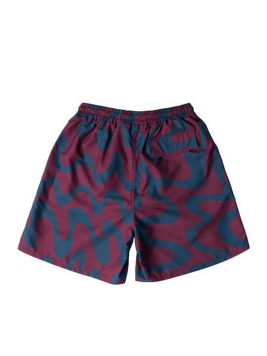 Parra Parra