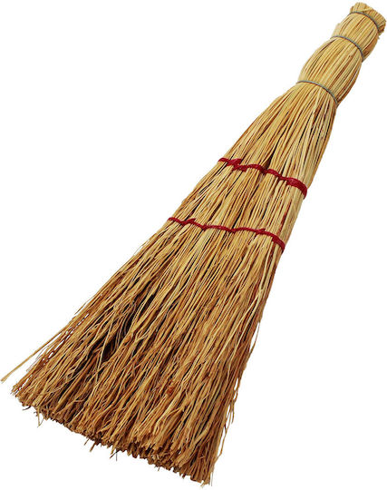 Small Grass Broom