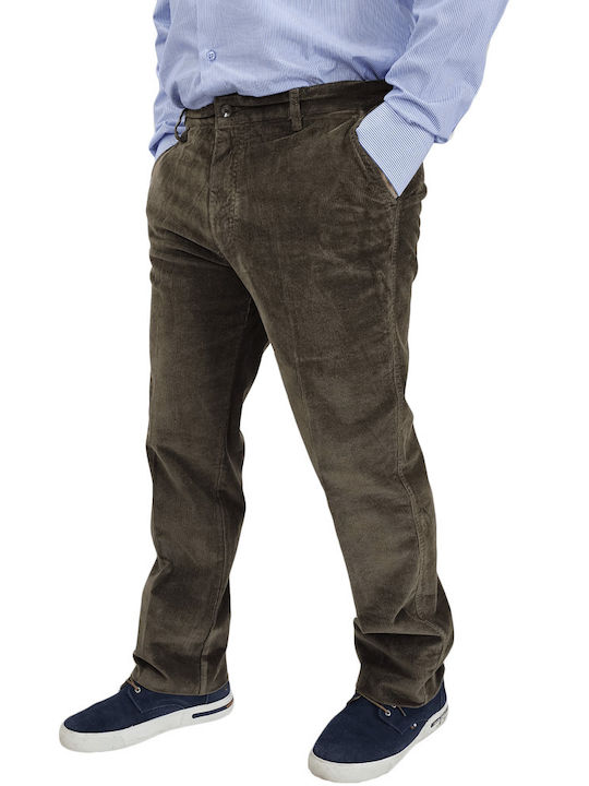 Παντελόνι Chino σε Κανονική Εφαρμογή Camel/olive
