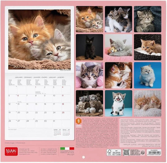 Legami Milano Kittens Μηνιαίο Επιτοίχιο Ημερολόγιο 2026 29x30εκ.