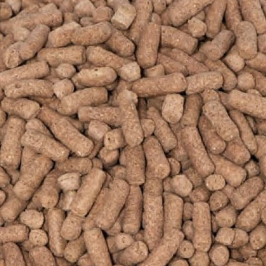 Epigasos Reptilienfutter Schildkröte Sticks Beutel 950g