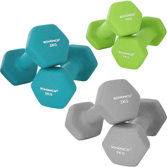 Songmics Βαράκι Εξάγωνο 1 x 1kg