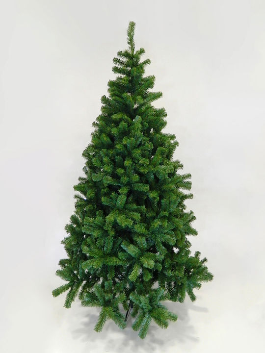 Christmas Tree Normandy 240cm with 1500 Branches