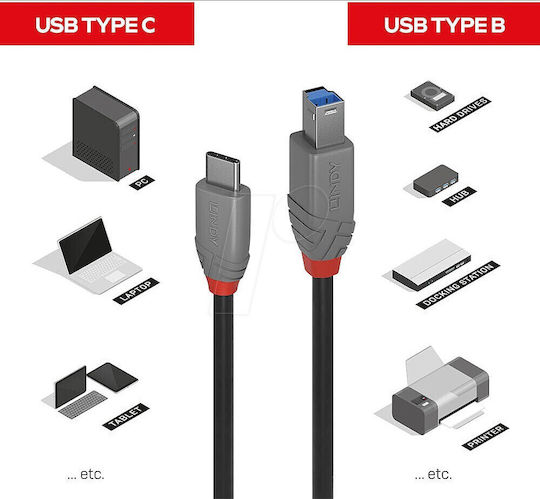 Lindy Редовна USB 3.2 Кабел USB-C мъжки - USB-B мъжки Черен 1м (36666)