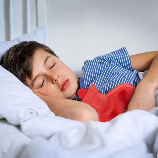 Relaxdays Θερμοφόρα σε Κόκκινο χρώμα Με Κάλυμμα για τον Αυχένα 2000ml