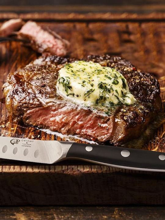 Orient Seria Origin Cuțite Steak din Oțel Inoxidabil 13cm 4 bucăți