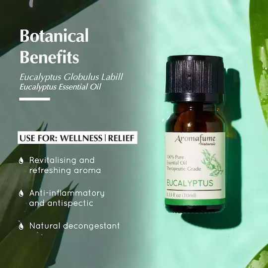 Φυσικό Αιθέριο Έλαιο Ευκάλυπτου Natural Essential Oil Eucalyptus 10ml