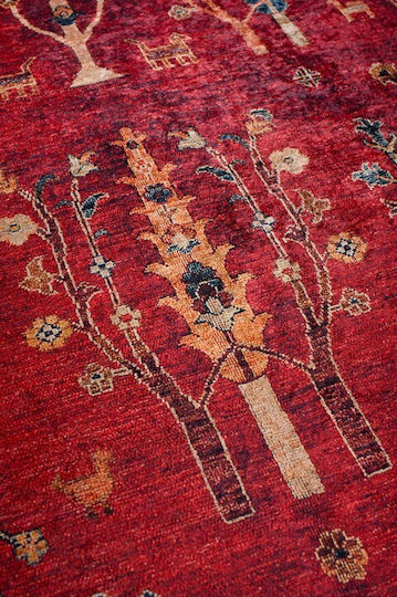 Viokarpet Nomadian 5095 Rug Rectangular Bordo-multi
