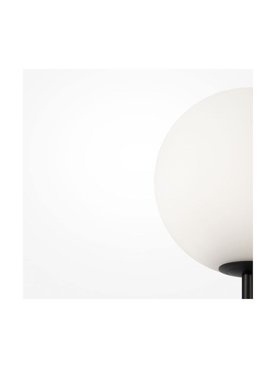 Maytoni Floor Lamp H155cm. Black
