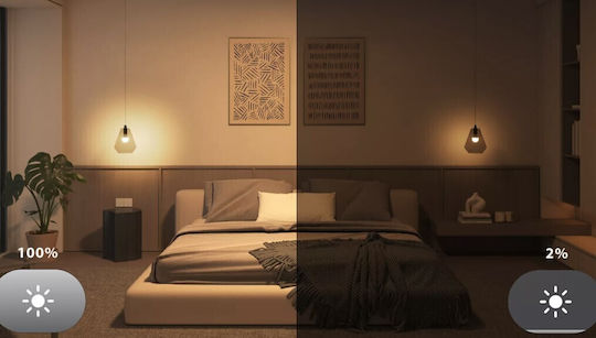 Philips Smart Bulb LED 8W for Socket E27 and Shape A60 Warm White 806lm