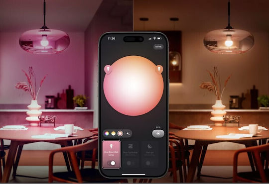 Philips Smart Lampen LED 8W für Fassung E27 und Form A60 Warmes Weiß 806lm 3Stück